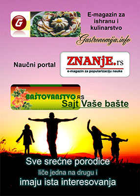 e-magazin